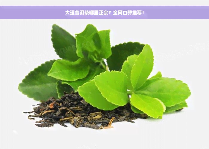 大理普洱茶哪里正宗？全网口碑推荐！