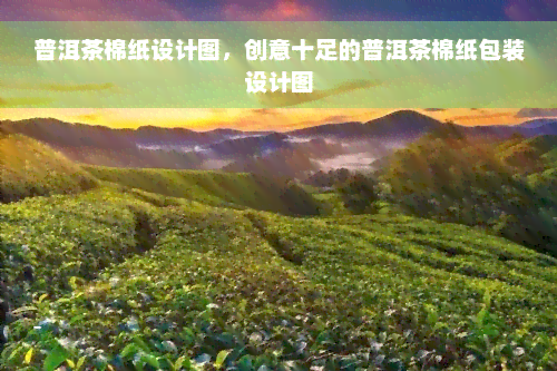 普洱茶棉纸设计图，创意十足的普洱茶棉纸包装设计图