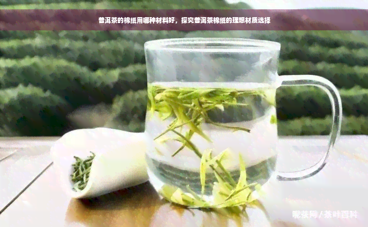 普洱茶的棉纸用哪种材料好，探究普洱茶棉纸的理想材质选择