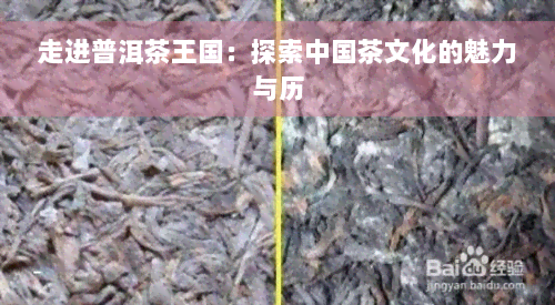 走进普洱茶王国：探索中国茶文化的魅力与历