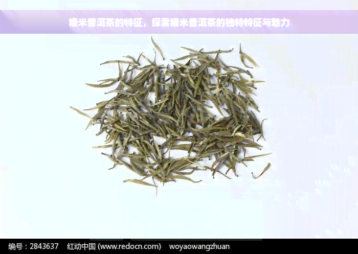 糯米普洱茶的特征，探索糯米普洱茶的独特特征与魅力