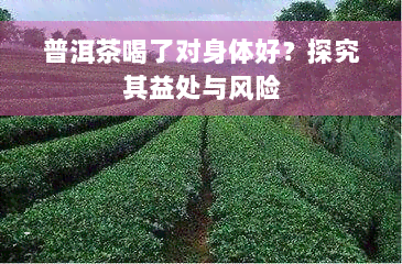 普洱茶喝了对身体好？探究其益处与风险