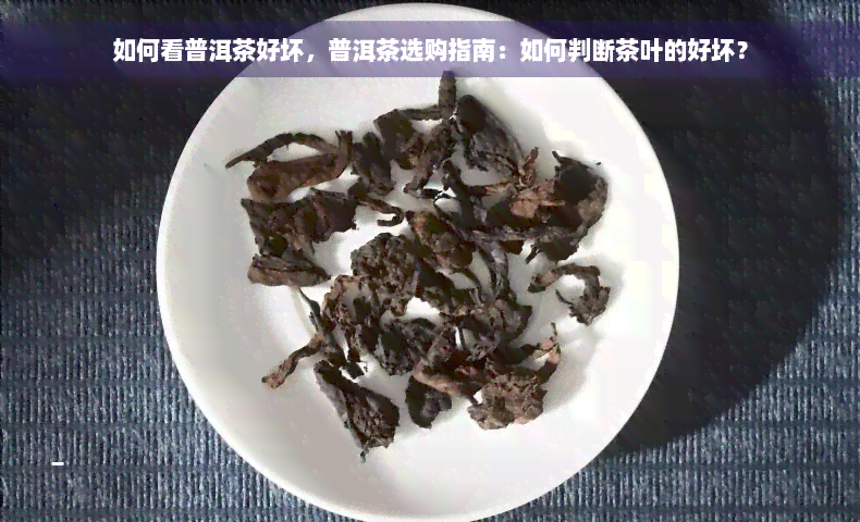 如何看普洱茶好坏，普洱茶选购指南：如何判断茶叶的好坏？