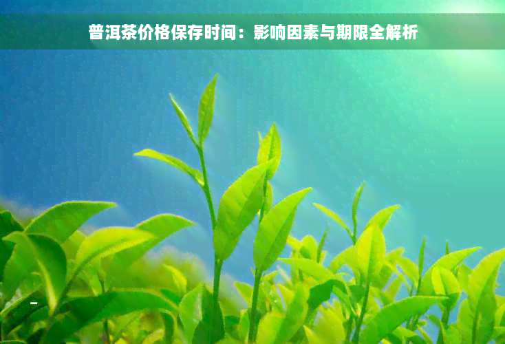 普洱茶价格保存时间：影响因素与期限全解析