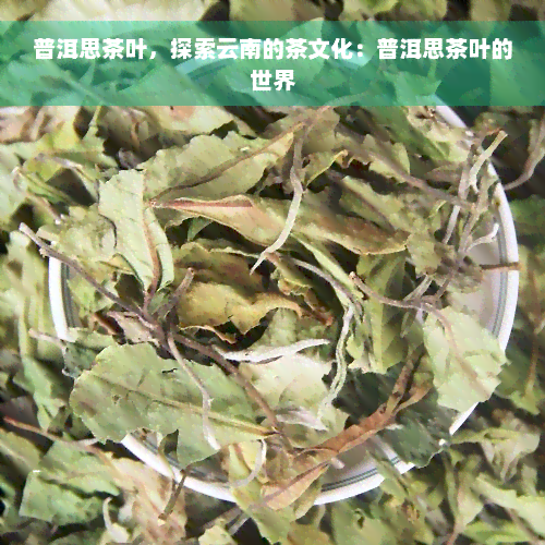 普洱思茶叶，探索云南的茶文化：普洱思茶叶的世界