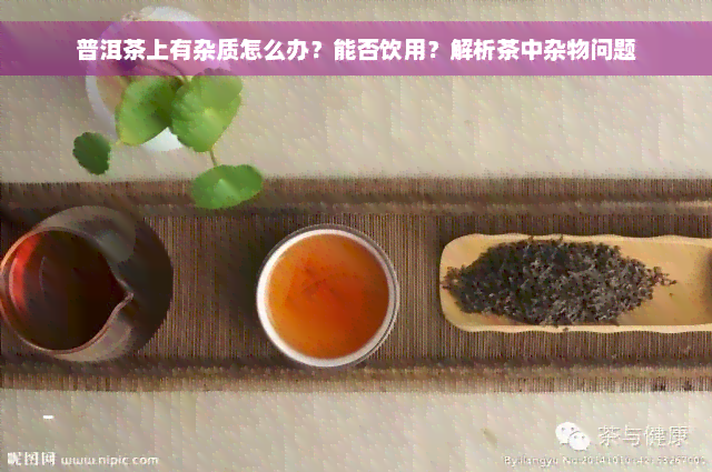 普洱茶上有杂质怎么办？能否饮用？解析茶中杂物问题