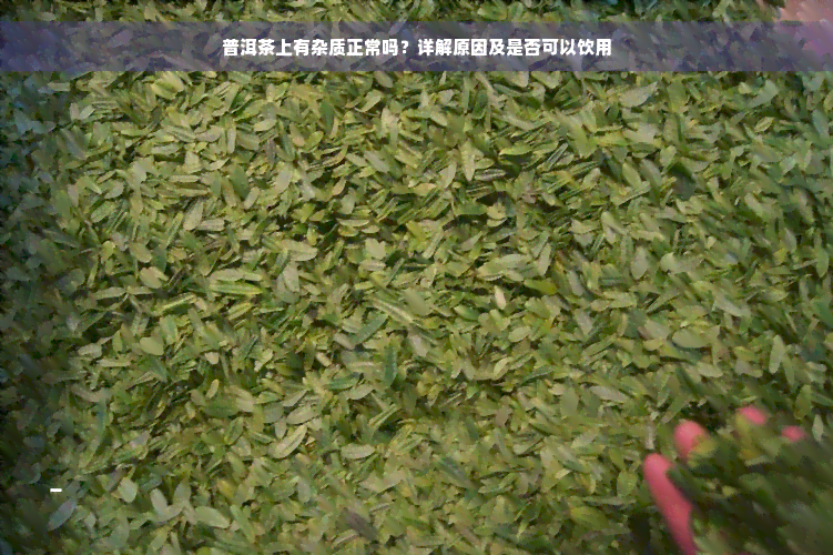 普洱茶上有杂质正常吗？详解原因及是否可以饮用