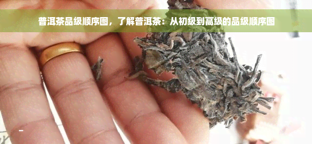 普洱茶品级顺序图，了解普洱茶：从初级到高级的品级顺序图