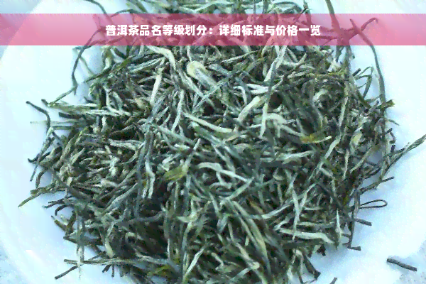 普洱茶品名等级划分：详细标准与价格一览