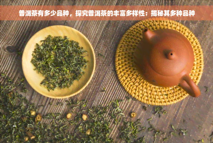 普洱茶有多少品种，探究普洱茶的丰富多样性：揭秘其多种品种