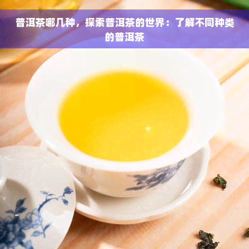 普洱茶哪几种，探索普洱茶的世界：了解不同种类的普洱茶