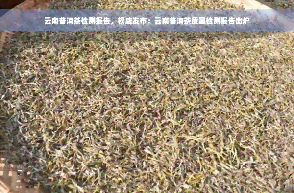 云南普洱茶检测报告，权威发布：云南普洱茶质量检测报告出炉