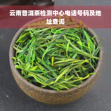 云南普洱茶检测中心电话号码及地址查询