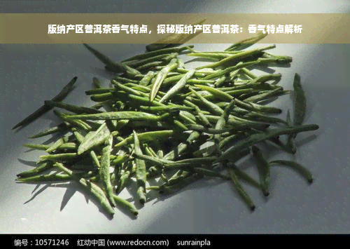 版纳产区普洱茶香气特点，探秘版纳产区普洱茶：香气特点解析