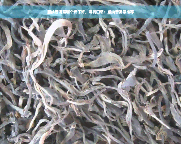 版纳普洱茶哪个牌子好，寻找口感：版纳普洱茶推荐