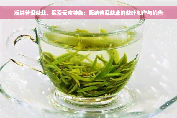 版纳普洱茶业，探索云南特色：版纳普洱茶业的茶叶制作与销售