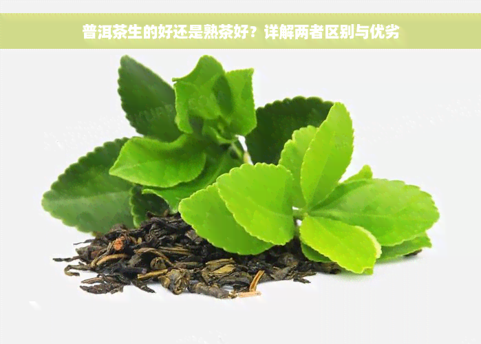 普洱茶生的好还是熟茶好？详解两者区别与优劣