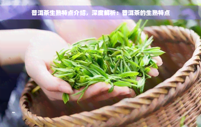 普洱茶生熟特点介绍，深度解析：普洱茶的生熟特点