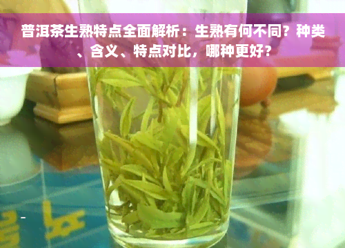 普洱茶生熟特点全面解析：生熟有何不同？种类、含义、特点对比，哪种更好？