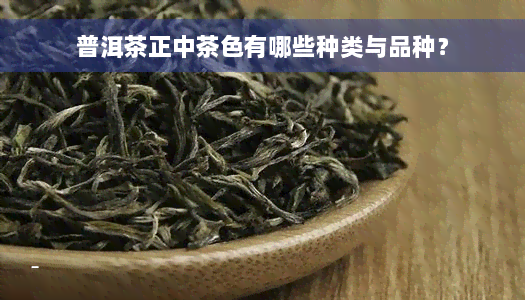 普洱茶正中茶色有哪些种类与品种？