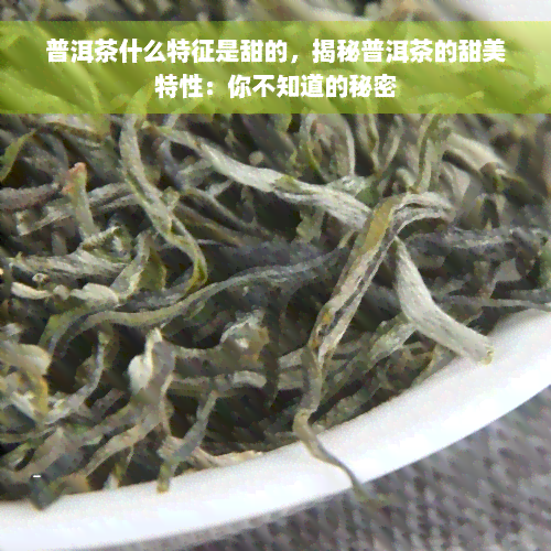 普洱茶什么特征是甜的，揭秘普洱茶的甜美特性：你不知道的秘密