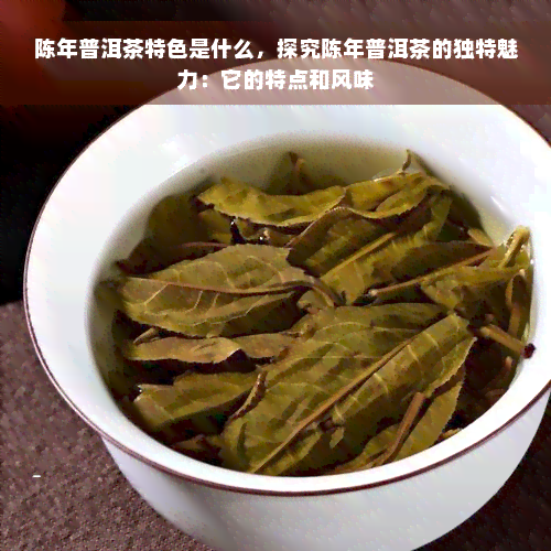 陈年普洱茶特色是什么，探究陈年普洱茶的独特魅力：它的特点和风味