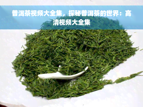 普洱茶视频大全集，探秘普洱茶的世界：高清视频大全集