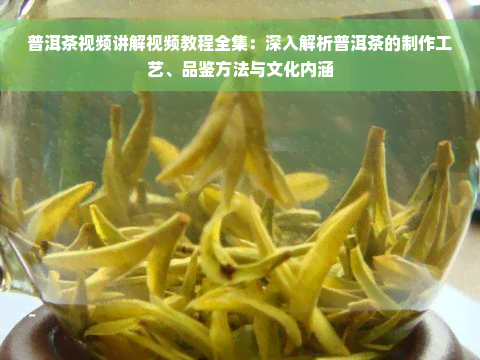 普洱茶视频讲解视频教程全集：深入解析普洱茶的制作工艺、品鉴方法与文化内涵