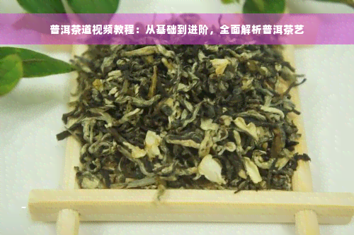 普洱茶道视频教程：从基础到进阶，全面解析普洱茶艺