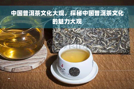 中国普洱茶文化大观，探秘中国普洱茶文化的魅力大观