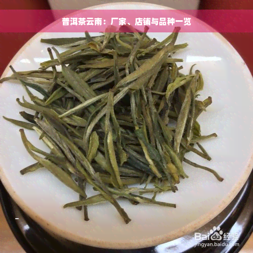 普洱茶云南：厂家、店铺与品种一览