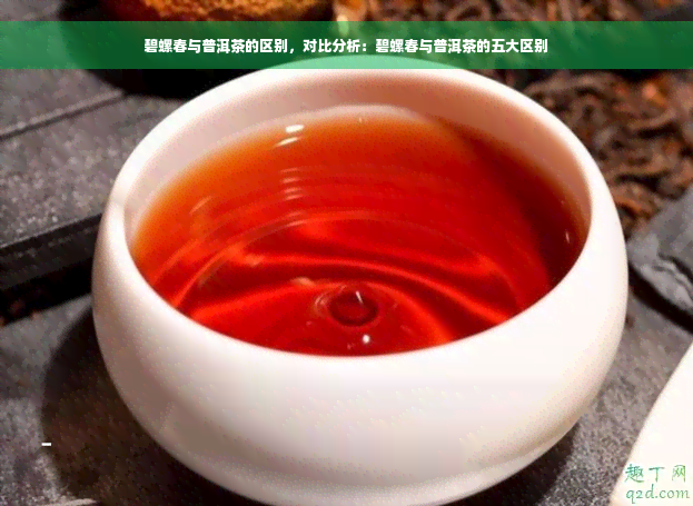 碧螺春与普洱茶的区别，对比分析：碧螺春与普洱茶的五大区别