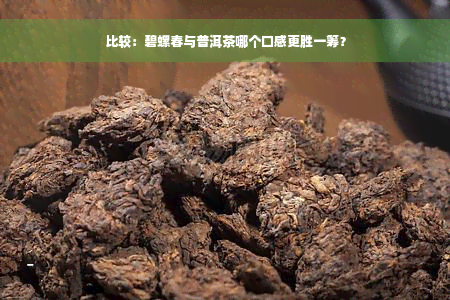 比较：碧螺春与普洱茶哪个口感更胜一筹？