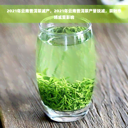 2021年云南普洱茶减产，2021年云南普洱茶产量锐减，茶叶市场或受影响