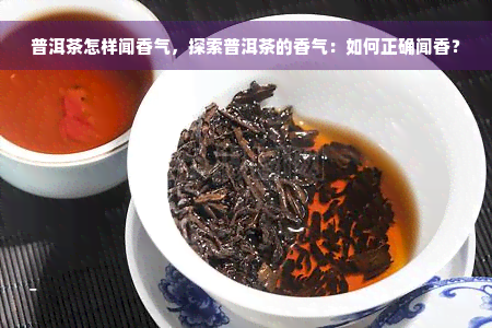 普洱茶怎样闻香气，探索普洱茶的香气：如何正确闻香？