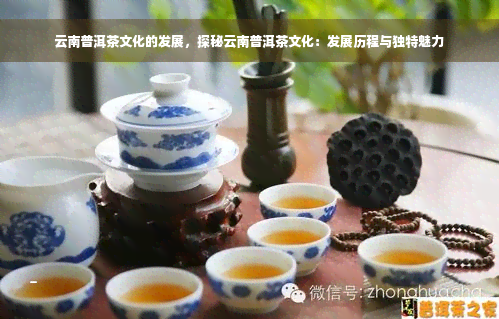 云南普洱茶文化的发展，探秘云南普洱茶文化：发展历程与独特魅力