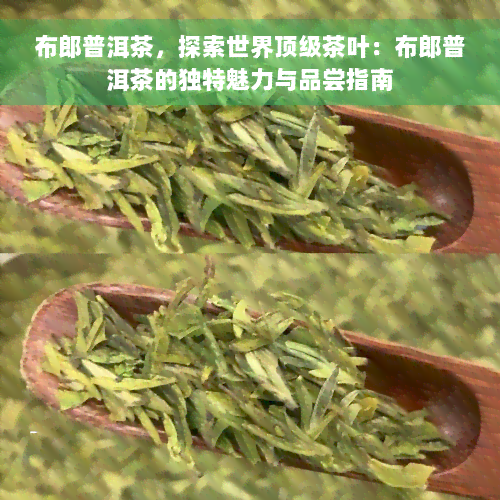 布郎普洱茶，探索世界顶级茶叶：布郎普洱茶的独特魅力与品尝指南