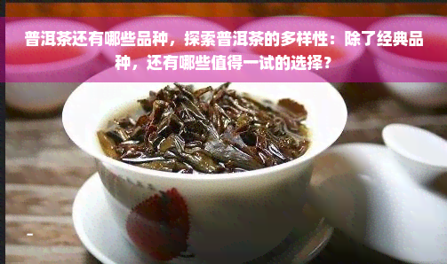 普洱茶还有哪些品种，探索普洱茶的多样性：除了经典品种，还有哪些值得一试的选择？