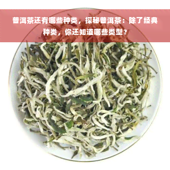 普洱茶还有哪些种类，探秘普洱茶：除了经典种类，你还知道哪些类型？