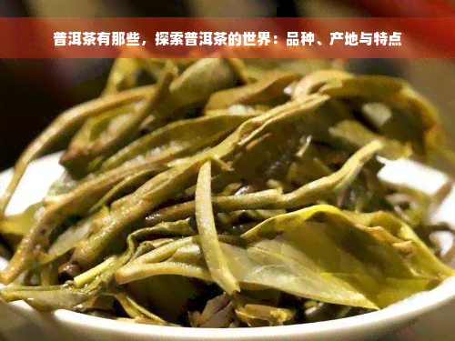 普洱茶有那些，探索普洱茶的世界：品种、产地与特点