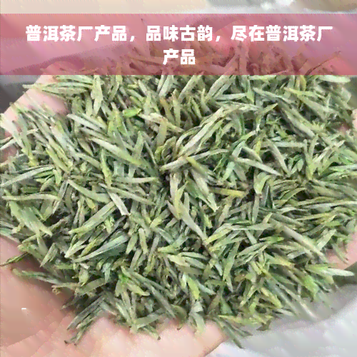 普洱茶厂产品，品味古韵，尽在普洱茶厂产品