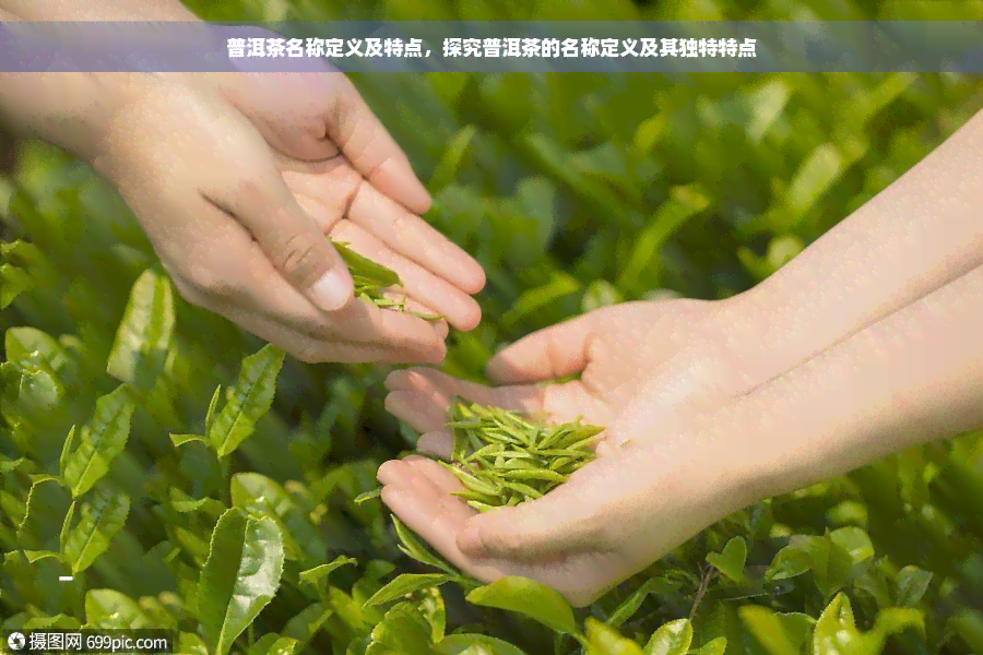 普洱茶名称定义及特点，探究普洱茶的名称定义及其独特特点