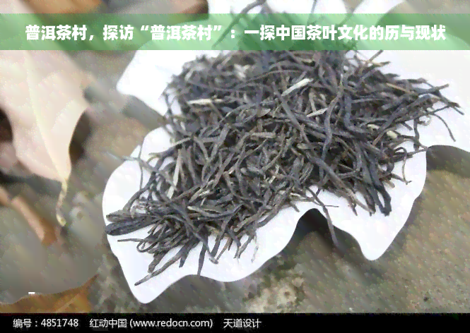 普洱茶村，探访“普洱茶村”：一探中国茶叶文化的历与现状