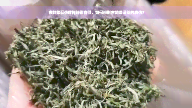 古韵普洱茶咋样辨别真假，如何辨别古韵普洱茶的真伪？