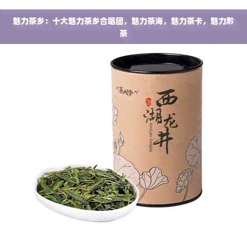 魅力茶乡：十大魅力茶乡合唱团，魅力茶海，魅力茶卡，魅力黔茶