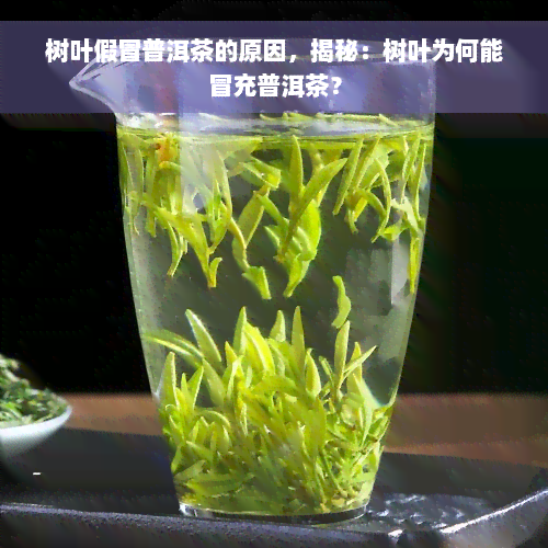 树叶假冒普洱茶的原因，揭秘：树叶为何能冒充普洱茶？