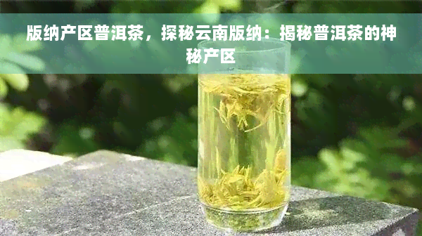 版纳产区普洱茶，探秘云南版纳：揭秘普洱茶的神秘产区