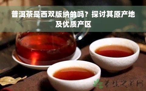 普洱茶是西双版纳的吗？探讨其原产地及优质产区