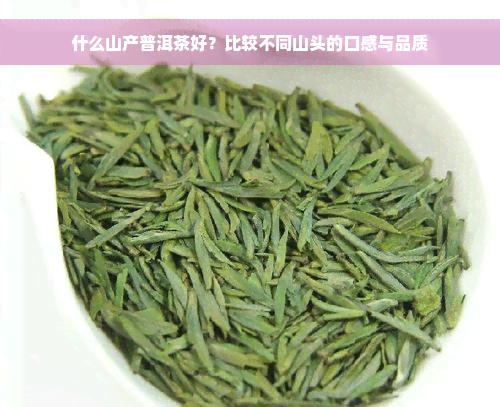 什么山产普洱茶好？比较不同山头的口感与品质