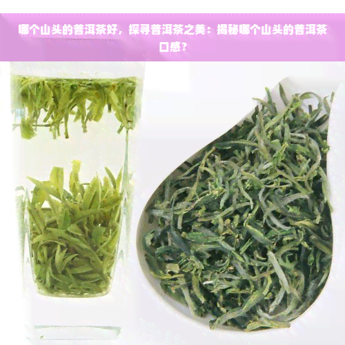 哪个山头的普洱茶好，探寻普洱茶之美：揭秘哪个山头的普洱茶口感？